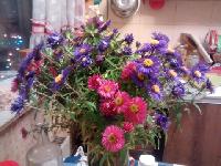 IMG 20151021 202124