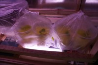 Изображение 028