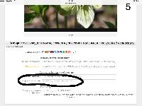 IMG 6422 24 05 17 11 07