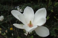 DSC05055