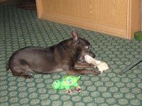 IMG 4730