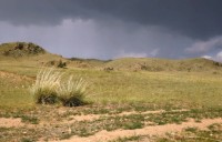 Хоринская степь  Гроза