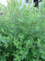 P6140102