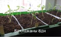 image 03 03 16 01 14 15