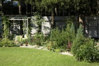 MG 2453  Копировать