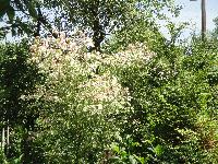 DSC08208