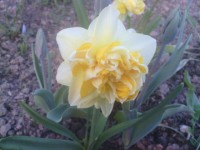 IMG 20130511 WA0019