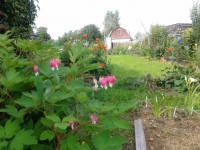 20140630 094030