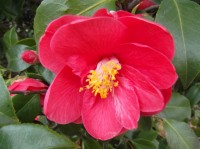 DSCF0399