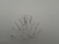 2013 03 29 2012 26 20 1