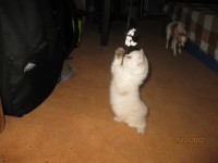 IMG 4847