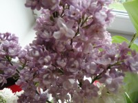 Изображение 086