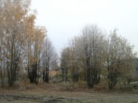 Вид на живую беседку  липы образуют круг