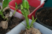 Изображение 015