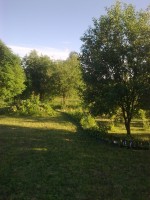 После стрижки