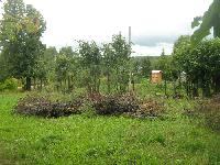 БЕЗ ЗАБОРА