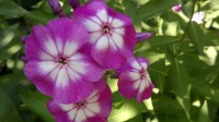 2013 08 09 632