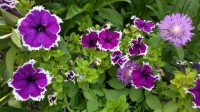 2013 07 04 0331