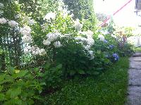 WP 20150802 13 45 32 Pro