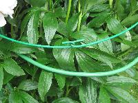 Изображение 234