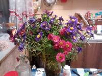 IMG 20151021 202214