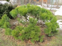 IMG 6776