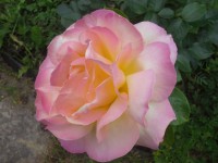 20130622 141009