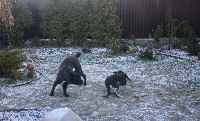 IMG 5659