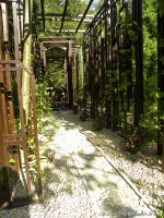 Наташа  арка