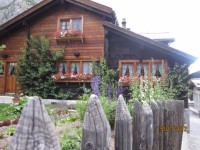 IMG 0459