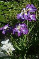 Подарок Пальчиковой  1