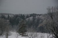 IMG 3851