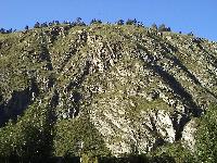 DSC00525