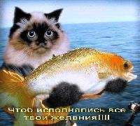 с днем рожд