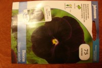 Черная звезда