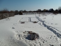 Изображение 027