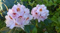 WP 20150608 20 21 16 Pro