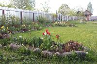 IMG 4382