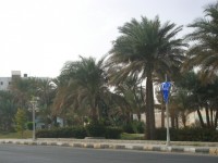 IMGP0813