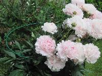 Изображение 236