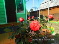 Дача 001