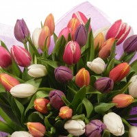 eb102e560ab943de82caba6d9b0fcd99