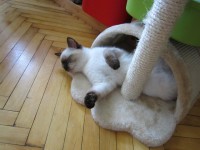 IMG 0515