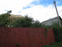 IMG 4455