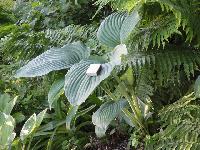 DSC04353