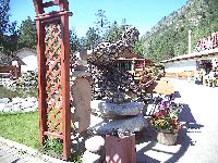 DSC00606