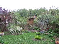 IMG 9596