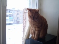 Изображение 001