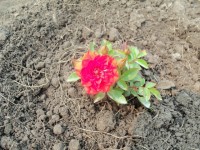 Изображение 111