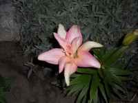 052